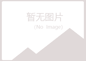 铁岭清河白山制造有限公司